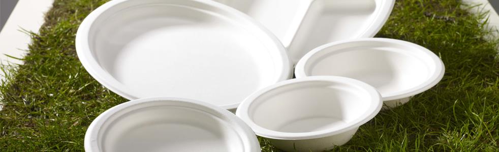 Disposables Plates | Galgorm Group Catering Equipment and Supplies